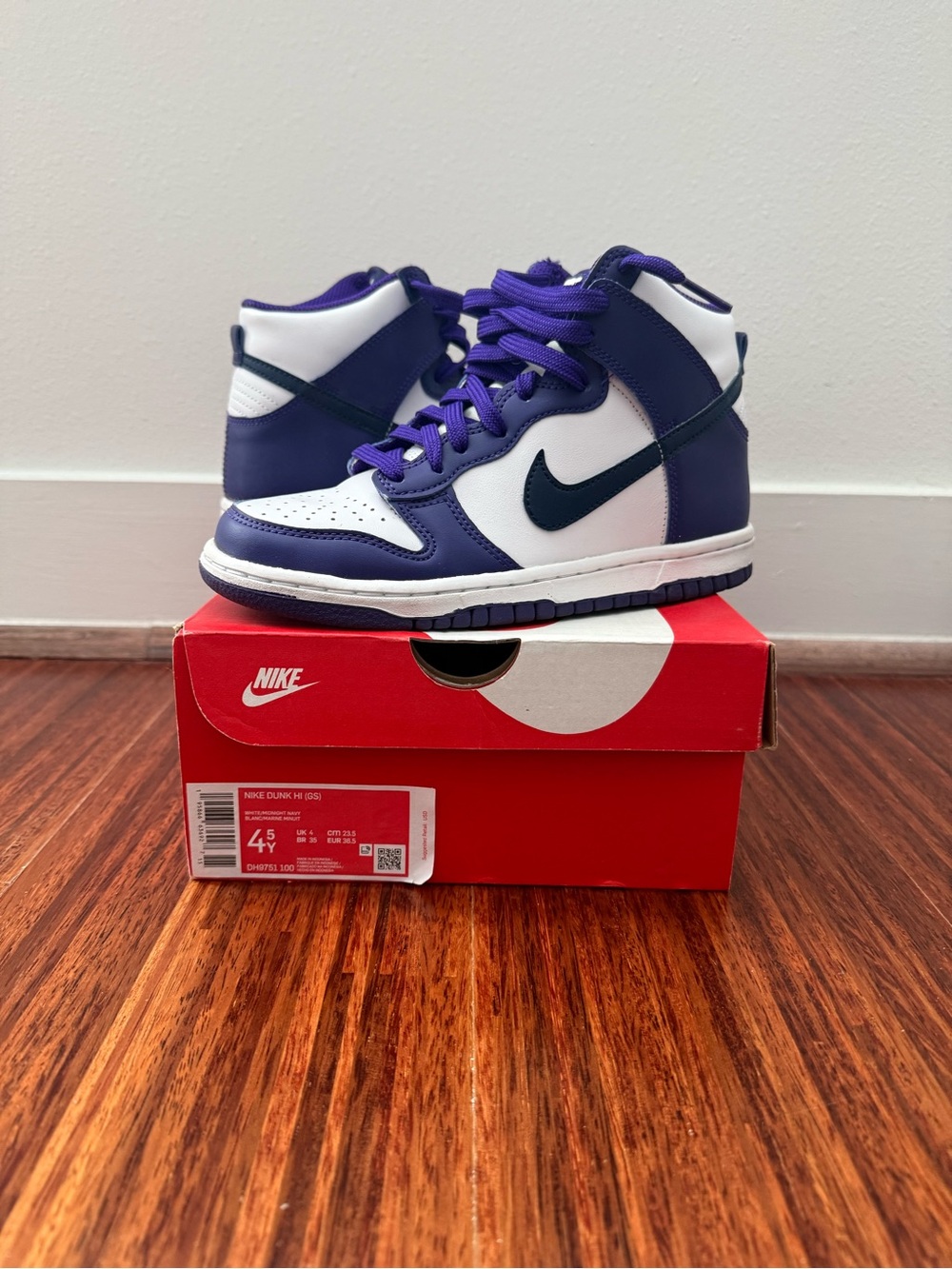 Nike Dunk Hi (GS)